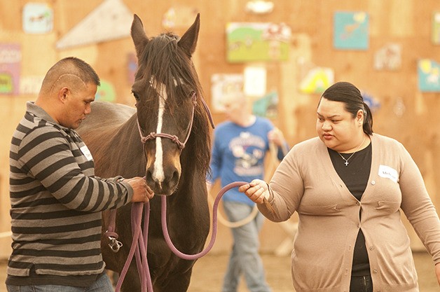 Horses make a healing connection when military couples and families reconnect at the Warrior Family Retreat. The equine therapy program returns to the Northwest Natural Horsemanship Center in Fall City this weekend.