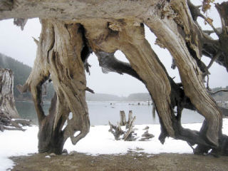 Snow covers the shoreline at Rattlesnake Lake in this winter scene snapped by North Bend resident Nomi Field. The photo took first place in the Snoqualmie Valley Record’s second-annual Reader Photo Contest. See more photos sent in by readers and residents on pages A6 and A7.