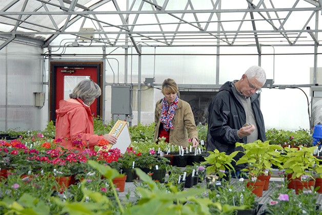 Snoqualmie Garden Club's plant sale is back, helps scholars