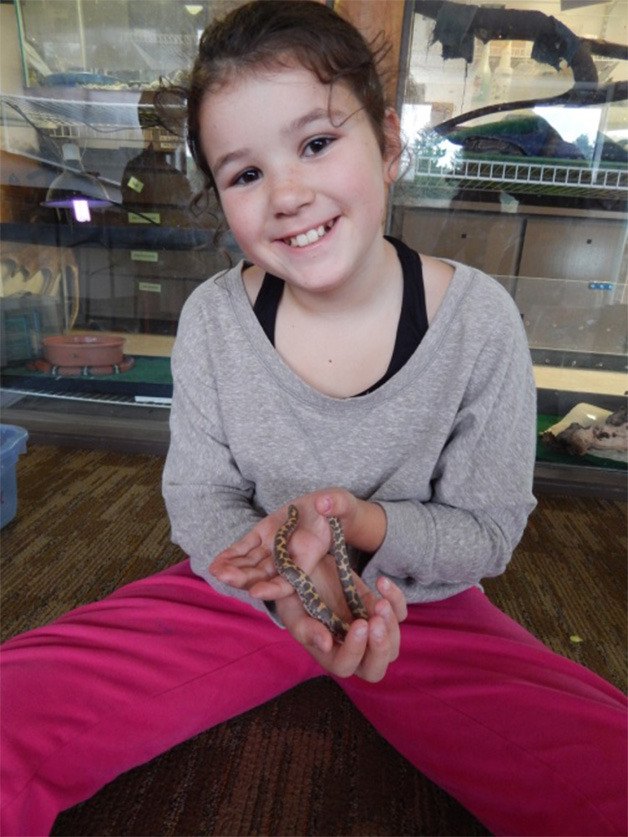 Opstad Elementary student Grace Dillon interacts with marine animals during a Camp Seymour event.