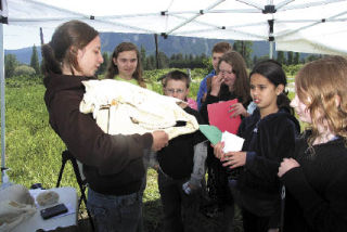 Fifth graders from Snoqualmie Elementary School get an up-close look at a horse skull