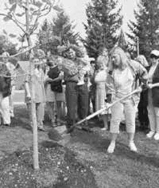 City plants tree in memory of employee