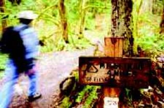 Mount SI Trail to receive a facelift