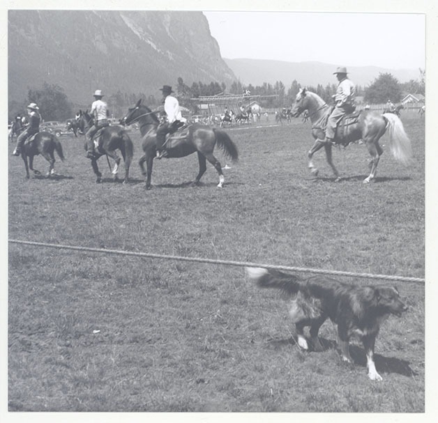 The Jamboree riding club rehearses their moves in this historic photo of the 1949 North Bend parade.