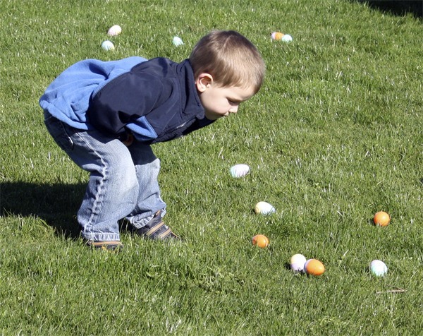 A youngster goes in for a closer look at prize eggs at Centennial Fields. The Snoqualmie hunt was sponsored by the Snoqualmie Ridge Residential Owners Association and Snoqualmie Parks and Recreation.