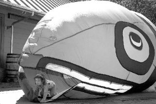 Hailey Gallagher of Carnation peers out of the salmon storytelling tent at Waterfest