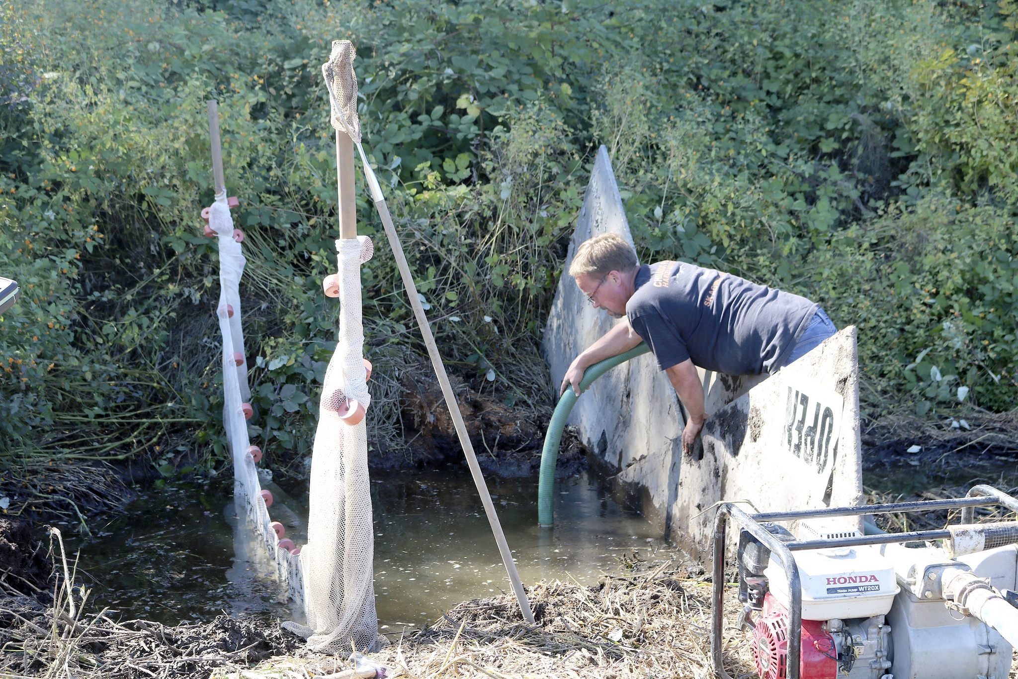 Evan Pappas/Staff PhotoPaul Hoffmann sets up a filtering hose to pump clean water around a ditch restoration site and back into the stream at Carnation’s Goose and Gander Farm.