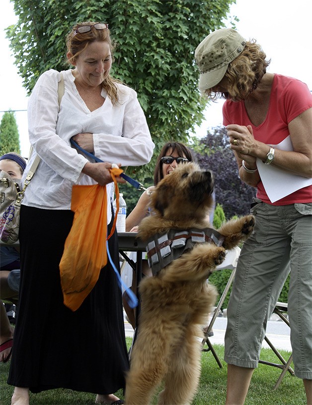 Dressed as Chewbacca