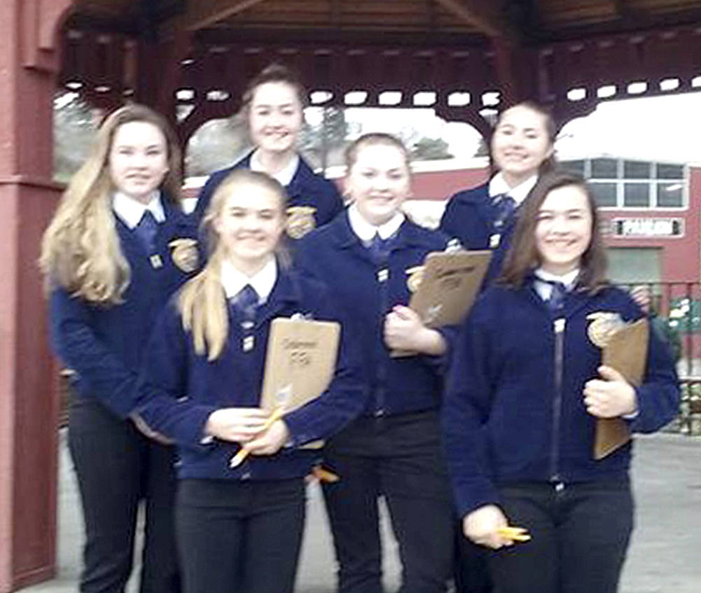 Cedarcrest High School FFA members who competed in the state horse judging competition included Avery Jacob, Brooke Downing, Haley Wilkes, Chloe Walker, Taylor Ford, and Ella Dianich.                                Courtesy Photo