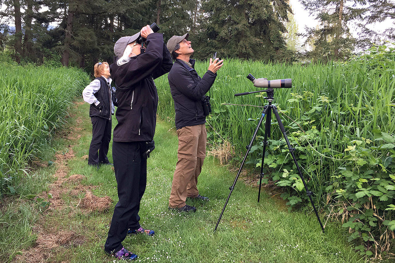 Mick Thompson, Eastside Audubon                                Eastside Birders participate in the 2017 Karismatic Kestrels Birdathon. Locals spotted and recorder 109 bird species throughout Eastern Washington during a single day in May.