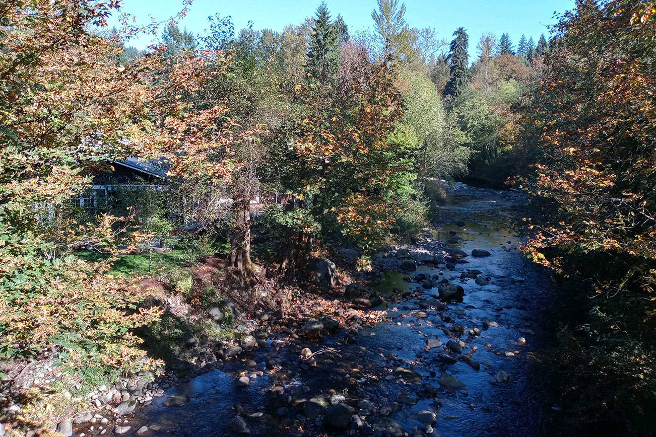 The Snoqualmie River, as seen near Preston on Oct. 6. Folks around the valley are busy preparing for the upcoming flood season. (Aaron Kunkler/staff photo)