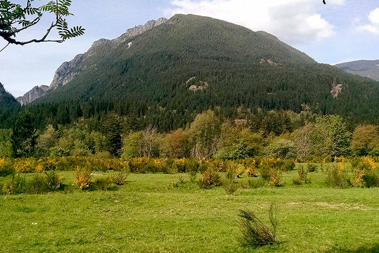 A view of Mount Si from the Dahlgren property. (Courtesy Photo)