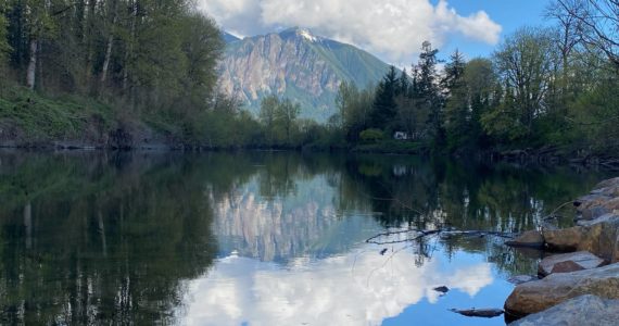 The Snoqualmie River near Park Avenue in Snoqualmie. Photo William Shaw/Valley Record.