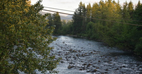 Conor Wilson / Valley Record 
A view of the Snoqualmie River from Mt Si Road bridge in North Bend.