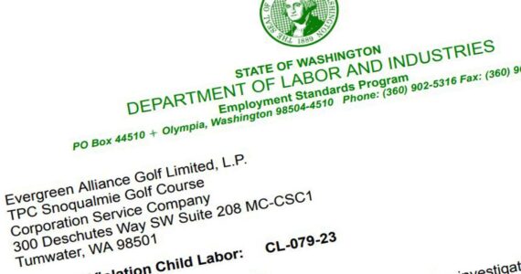 A screenshot of the citation issued by the Department of Labor & Industries.