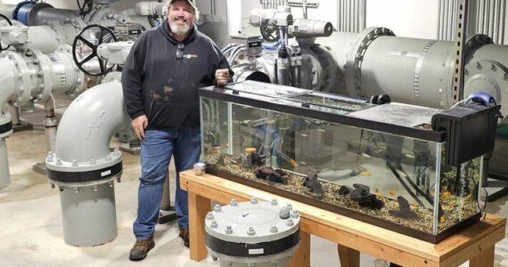 Plant Operator Craig Jess posing with the trout and a few goldfish living in the 125-gallon, effluent tank. (Photo courtesy of the city of North Bend)