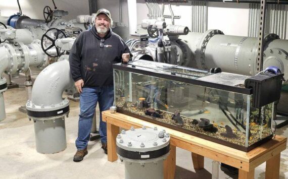 Plant Operator Craig Jess posing with the trout and a few goldfish living in the 125-gallon, effluent tank. (Photo courtesy of the city of North Bend)