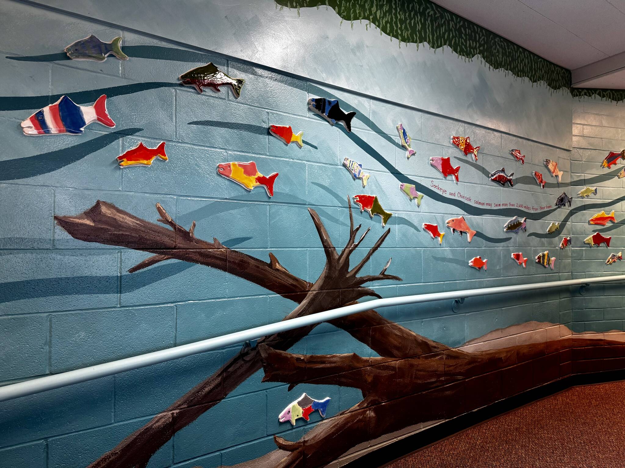 The interior portion of Carnation Elementary’s new mural includes salmon of many sizes, painted driftwood and facts about salmon collected by students. Photos by Grace Gorenflo/For the Valley Record