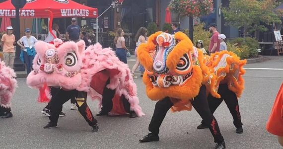 Scenes from the Snoqualmie International Community Block Party on Sept. 1. (Photo courtesy of the city of Snoqualmie)