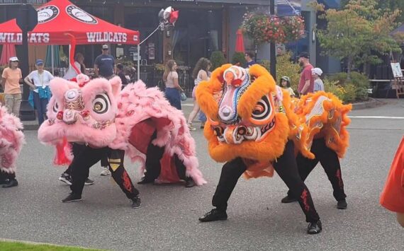 Scenes from the Snoqualmie International Community Block Party on Sept. 1. (Photo courtesy of the city of Snoqualmie)