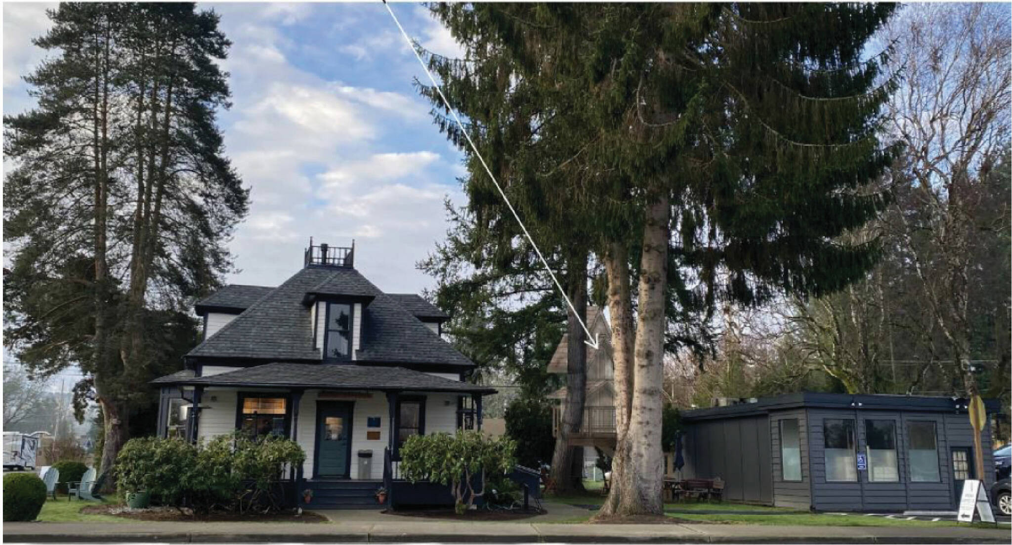 A photo of Aroma Coffee Co. with a mockup of the future treehouse. Courtesy of Nelson Treehouse