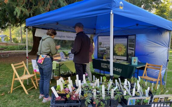 The Washington Native Plant Society teaches about the importance of native plants and offers plants for sale at Oaktoberfest 2023. Courtesy of Terry Pottmeyer