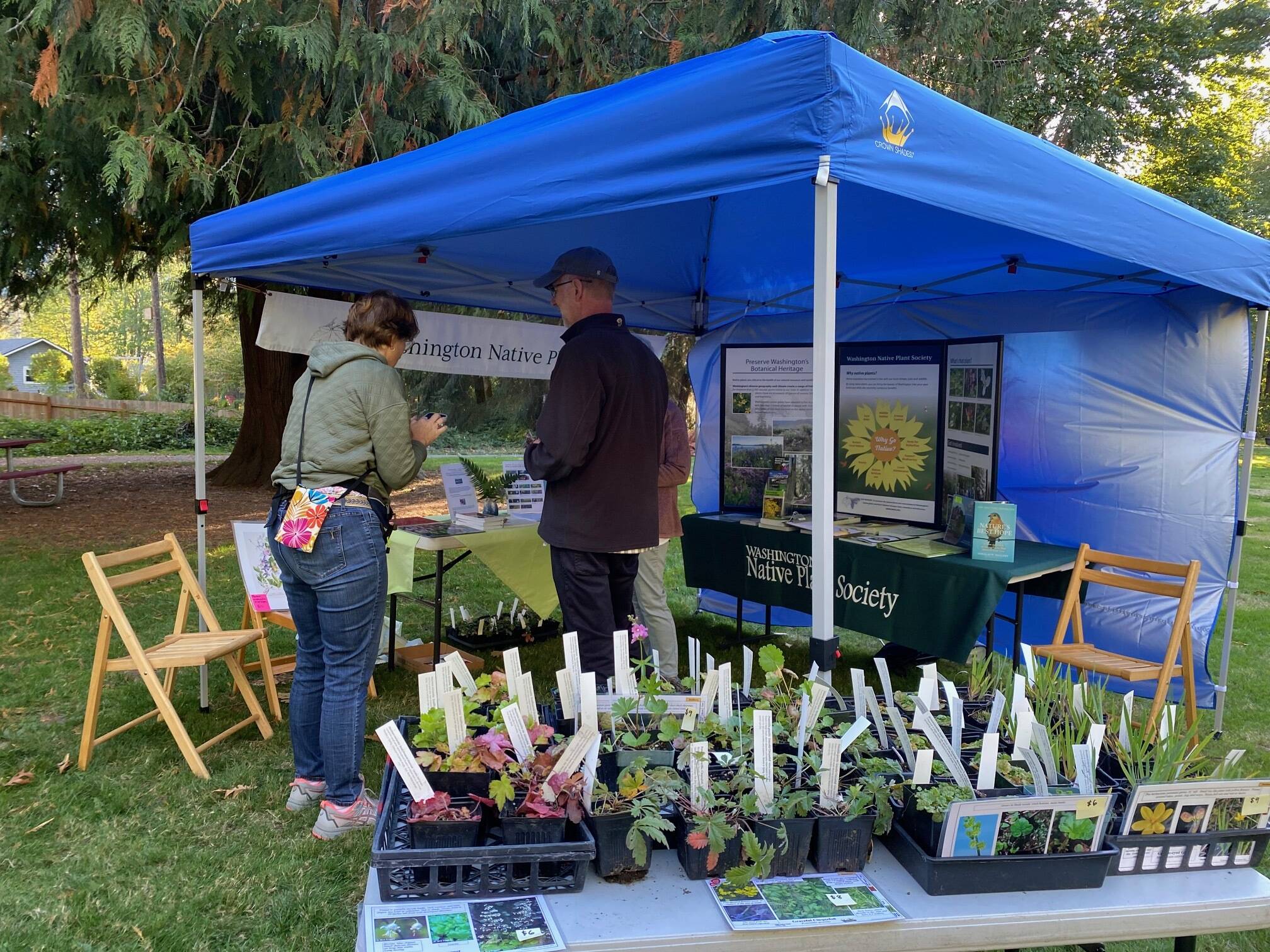 The Washington Native Plant Society teaches about the importance of native plants and offers plants for sale at Oaktoberfest 2023. Courtesy of Terry Pottmeyer