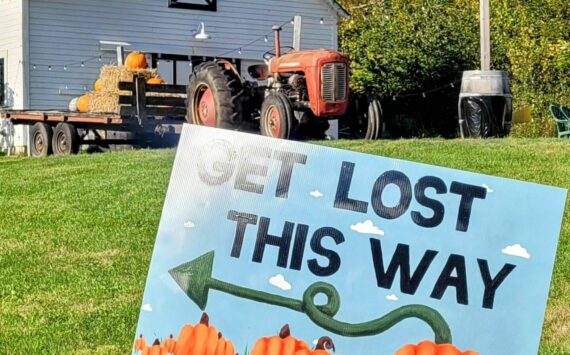 Novelty Hill Farm’s fall festival is open each weekend through the end of October at 26617 NE 124th St. Duvall. Learn more at noveltyhillfarm.com. Courtesy photo