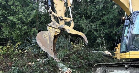 Crews work to cleanup trees on State Route 18 after the windstorm Nov. 19-20, 2024. (Courtesy of Washington State Patrol Trooper Rick Johnson)