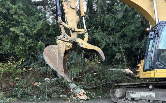 Crews work to cleanup trees on State Route 18 after the windstorm Nov. 19-20, 2024. (Courtesy of Washington State Patrol Trooper Rick Johnson)