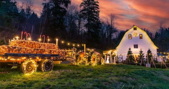 Novelty Hill Farm during the holidays. Courtesy of Wade Hasbrouck Photography