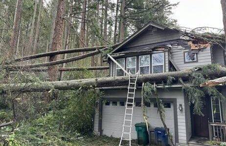 A house in Issaquah was damaged by fallen trees during November’s bomb cyclone. (Courtesy of King County Councilmember Sarah Perry’s office)