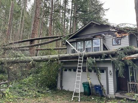 A house in Issaquah was damaged by fallen trees during November’s bomb cyclone. (Courtesy of King County Councilmember Sarah Perry’s office)