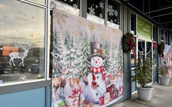 Duvall Advanced Family Eye Care’s windowscape includes Christmas-themed tapestries and other decor. (Grace Gorenflo/Valley Record)